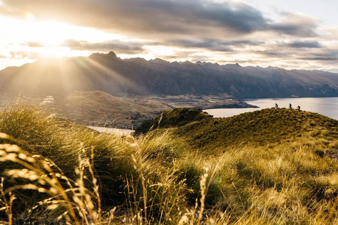 Three mountain bikers on a tussock ridgeline above Lake Whakatipu at sunrise