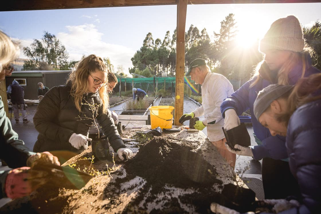 Volunteers potting up seedlings at the Jean Malpas nursery, in low winter sun